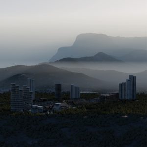 017